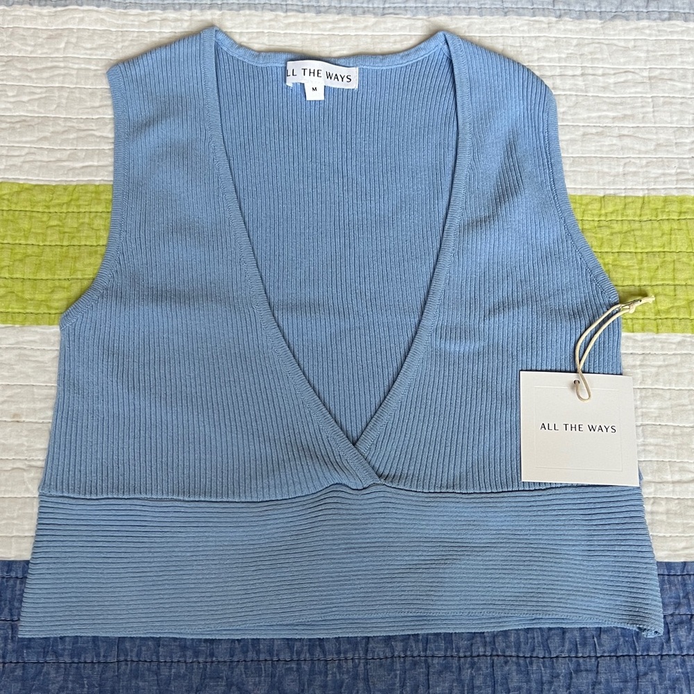 All The Ways - Crop Plunge Top